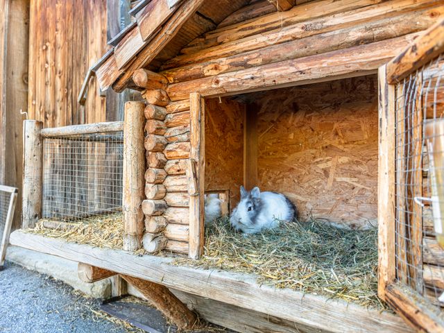 Ferienhaus Palfenhof Grossarltal
